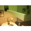 Philips HUE WHITE & COLOUR AMBIANCE ENSIS Pendant Light LED white, 2-light sources, Colour changer