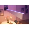 Philips HUE WHITE & COLOUR AMBIANCE ENSIS Pendant Light LED white, 2-light sources, Colour changer