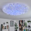MESSEJANA Ceiling Light LED white, 1-light source, Remote control, Colour changer