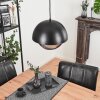 ENTREVINHAS Pendant Light black, 1-light source