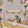 CHARATA Pendant Light LED brass, 1-light source