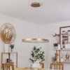 CHARATA Pendant Light LED brass, 1-light source