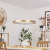 CHARATA Pendant Light LED brass, 1-light source