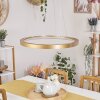 CHARATA Pendant Light LED brass, 1-light source