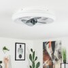 TIRKKALA ceiling fan LED, 1-light source
