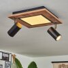 SEQUEIRA Ceiling Light brown, chrome, black, white, 2-light sources
