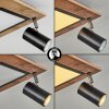 SEQUEIRA Ceiling Light brown, chrome, black, white, 4-light sources