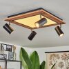 SEQUEIRA Ceiling Light brown, chrome, black, white, 4-light sources