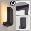 KIRKHALL Outdoor Wall Light LED black, 1-light source