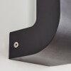 KIRKHALL Outdoor Wall Light LED black, 1-light source
