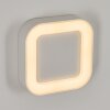PALEROO Outdoor Wall Light LED white, 1-light source