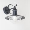 Broni Outdoor Wall Light black, 1-light source