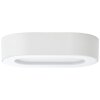 Brilliant WHITTAKER Outdoor Wall Light LED white, 1-light source