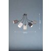 Fischer & Honsel KOI Ceiling Light black, 5-light sources