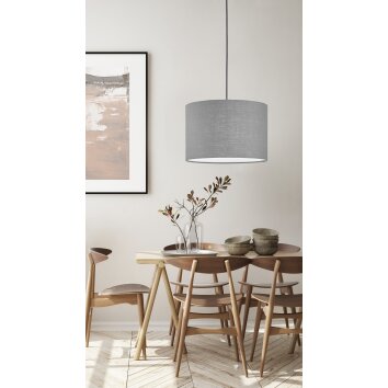 Fischer & Honsel VIGO Pendant Light black, 1-light source