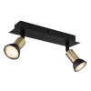Globo DREW Wall Light black, 2-light sources