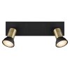 Globo DREW Wall Light black, 2-light sources