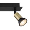 Globo DREW Ceiling Light black, 3-light sources