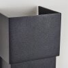 COORABIE Outdoor Wall Light LED black, 2-light sources