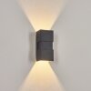 COORABIE Outdoor Wall Light LED black, 2-light sources