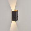 COORABIE Outdoor Wall Light LED black, 2-light sources