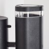 AMYTON Outdoor Wall Light black, 2-light sources