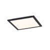 Leuchten-Direkt FLAT Ceiling Light LED black, 1-light source