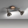Leuchten-Direkt SWAMP Ceiling Light Ecru, 2-light sources