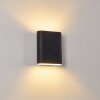 Vion Wall Light black, 2-light sources