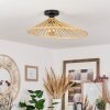 CALLIDE Ceiling Light black, 1-light source