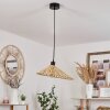 CALLIDE Pendant Light black, 1-light source