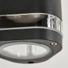 AMYTON Outdoor Wall Light black, 1-light source