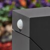TOOGONG path light LED anthracite, 1-light source, Motion sensor