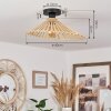 CALLIDE Ceiling Light black, 1-light source