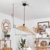 CALLIDE Pendant Light black, 1-light source