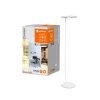 LEDVANCE SUN@HOME Floor Lamp white, 1-light source