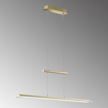 Fischer & Honsel  TENSO TW Pendant Light LED brass, 1-light source