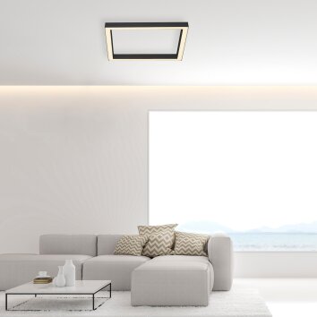 Paul-Neuhaus PURE-LINES Ceiling Light LED anthracite, 1-light source, Remote control