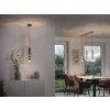 Paul-Neuhaus PURE-VEGA Pendant Light LED black, 3-light sources