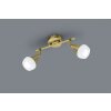 Trio-Leuchten Trumpet Ceiling Light brass, 2-light sources