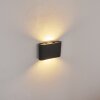 TRAPATRAPA Outdoor Wall Light LED anthracite, 2-light sources