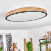SALMI Ceiling Light LED anthracite, brown, Wood like finish, black, 1-light source, Remote control