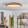 SALMI Ceiling Light LED anthracite, brown, Wood like finish, black, 1-light source, Remote control