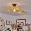 CALLIDE Ceiling Light black, 1-light source