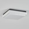GOMERO outdoor ceiling light LED anthracite, white, 1-light source