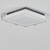 GOMERO outdoor ceiling light LED anthracite, white, 1-light source