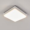 GOMERO outdoor ceiling light LED anthracite, white, 1-light source