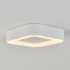 PALEROO outdoor ceiling light LED white, 1-light source