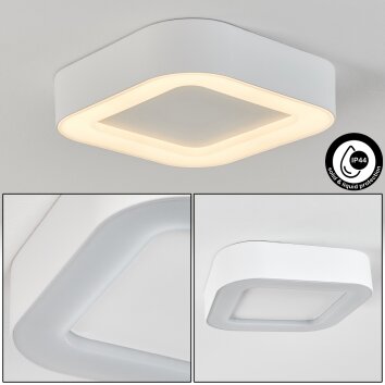 PALEROO outdoor ceiling light LED white, 1-light source