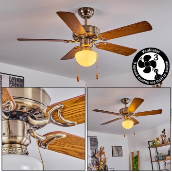 APIAO ceiling fan brown, light brown, Wood like finish, silver, 1-light source